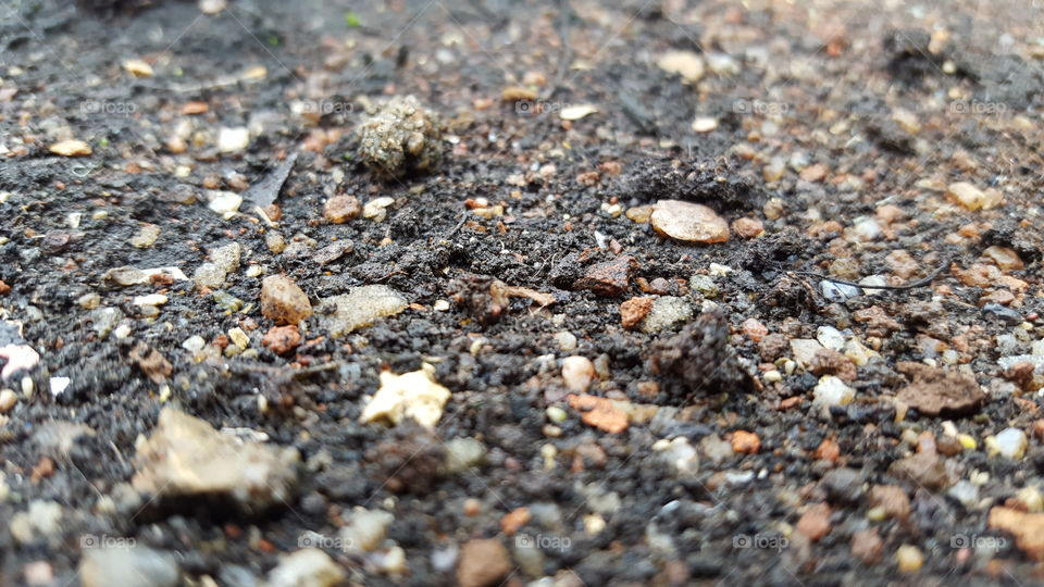 Soil Close Up