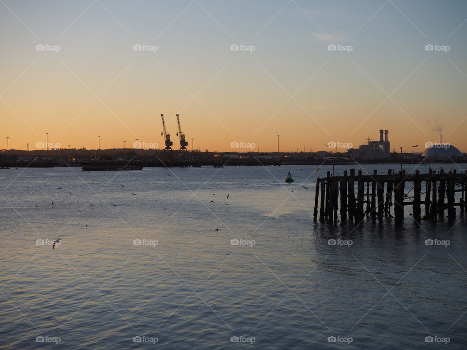 Cranes in Southampton at sunset