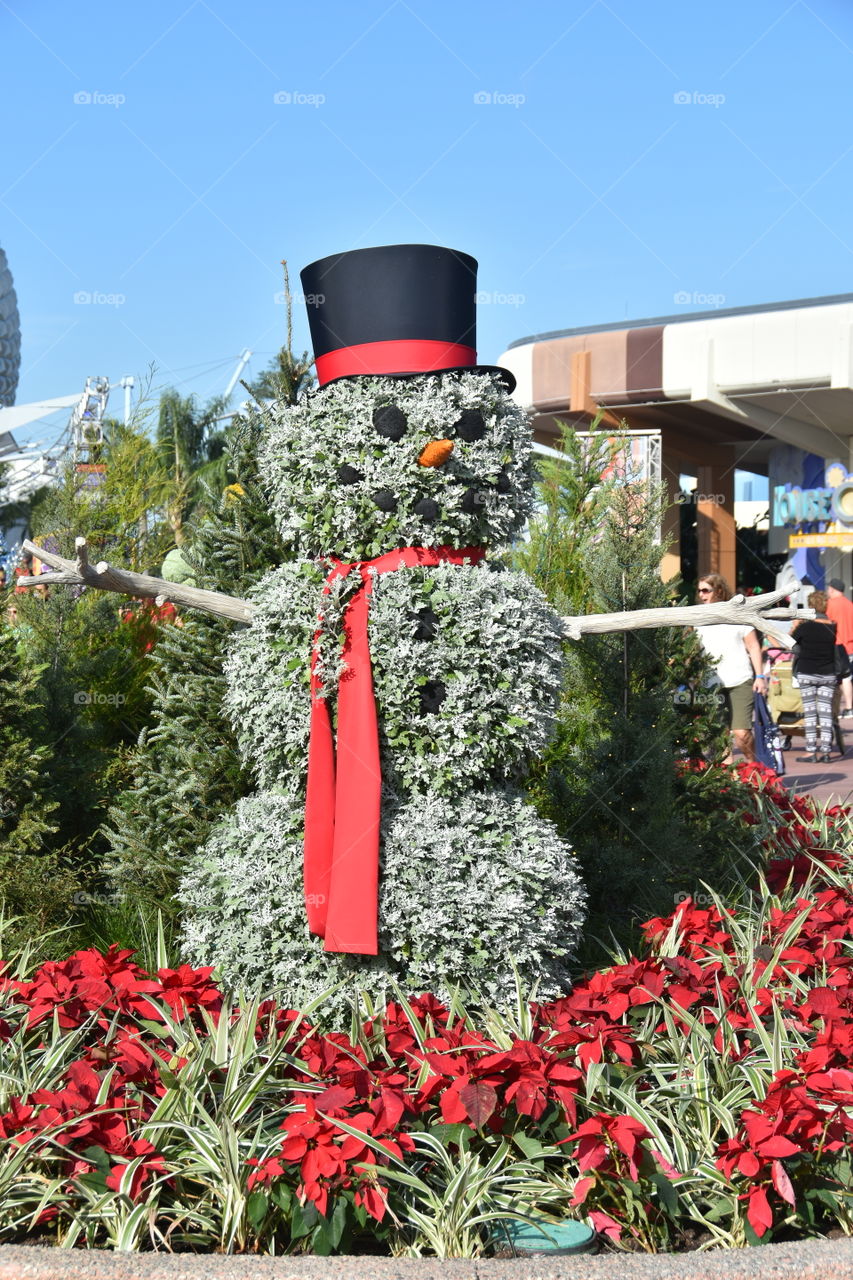 Christmas at Epcot