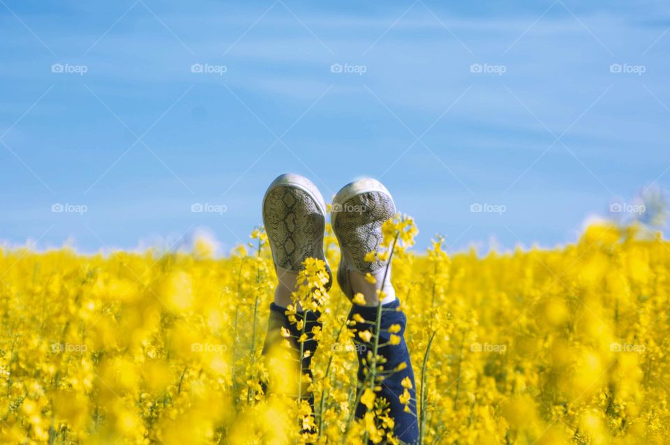 girl in a field with flowers