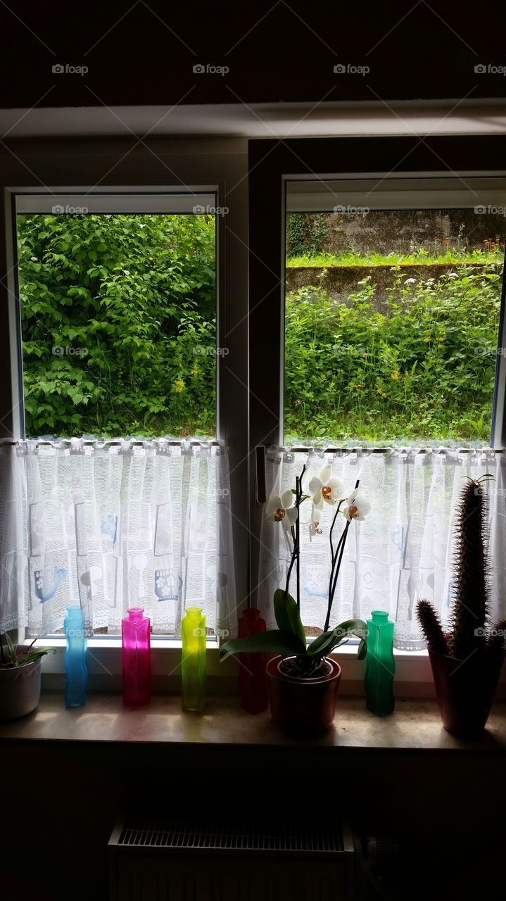 Fenster . Das Fenster 