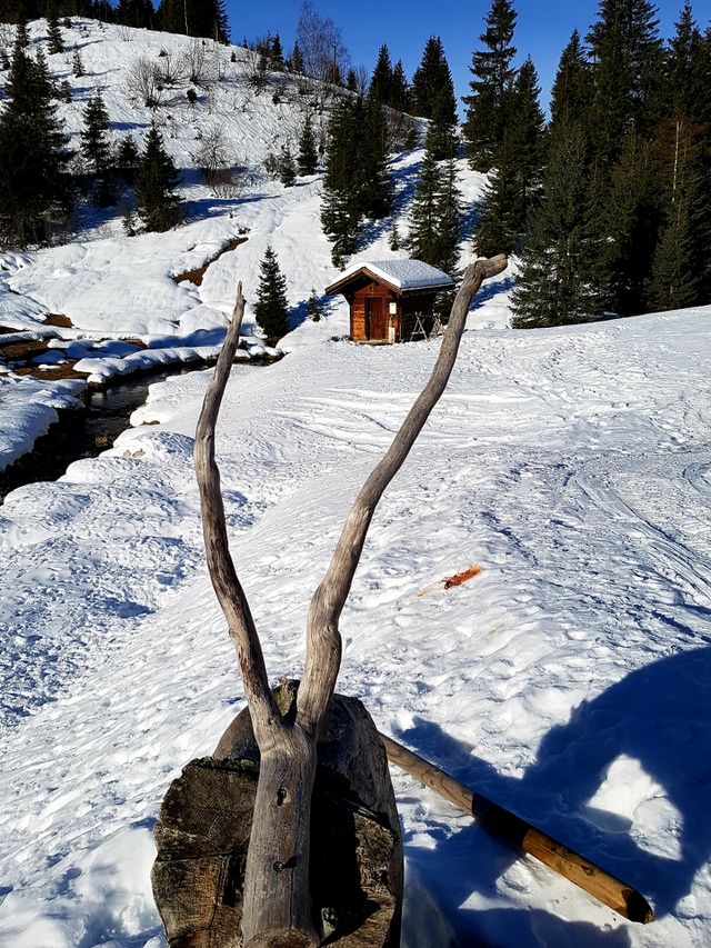 beautiful setting of a little mountain cabine in wintertime