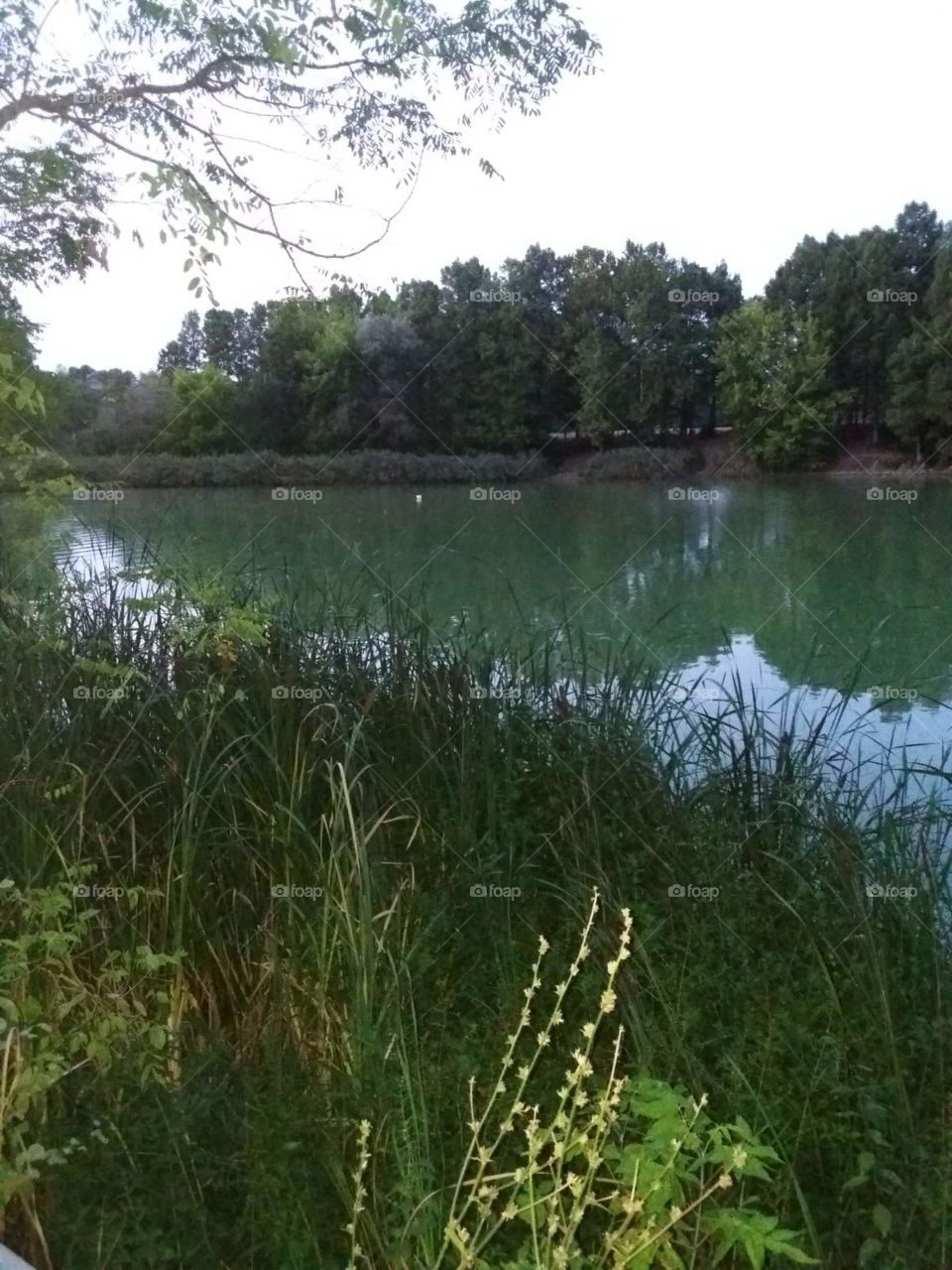 The beauty of nature