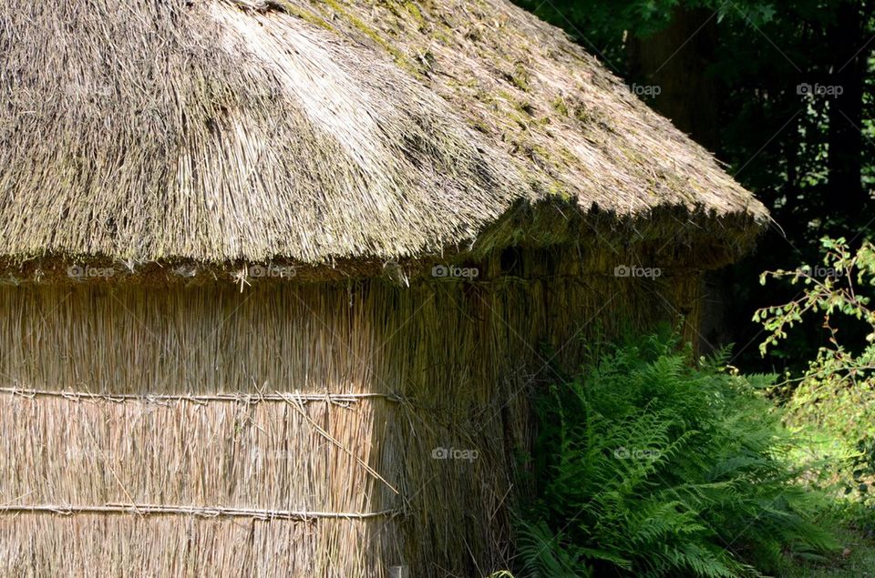 Old shack made from reed