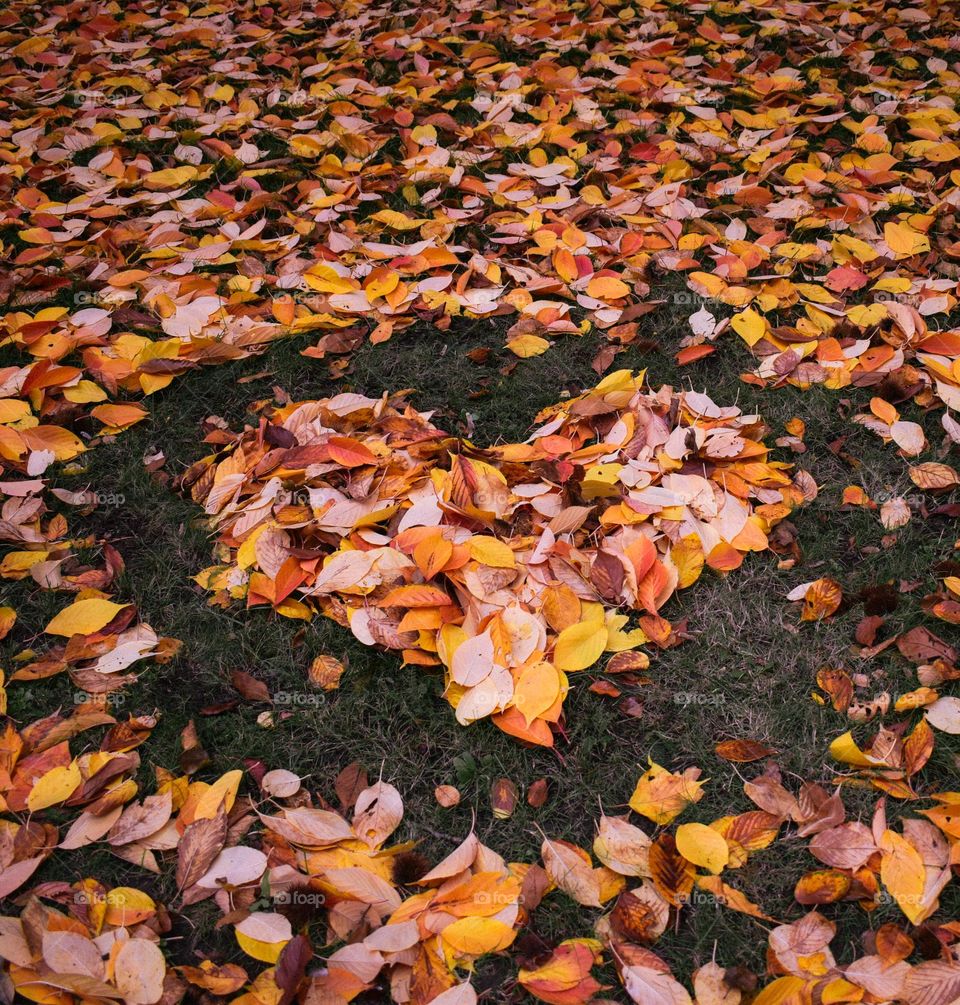 An autumn heart’