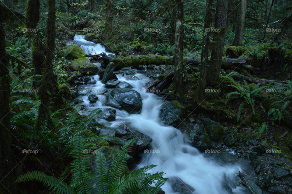 Long exposure of a creek in WA taken with Nikon D3200 
