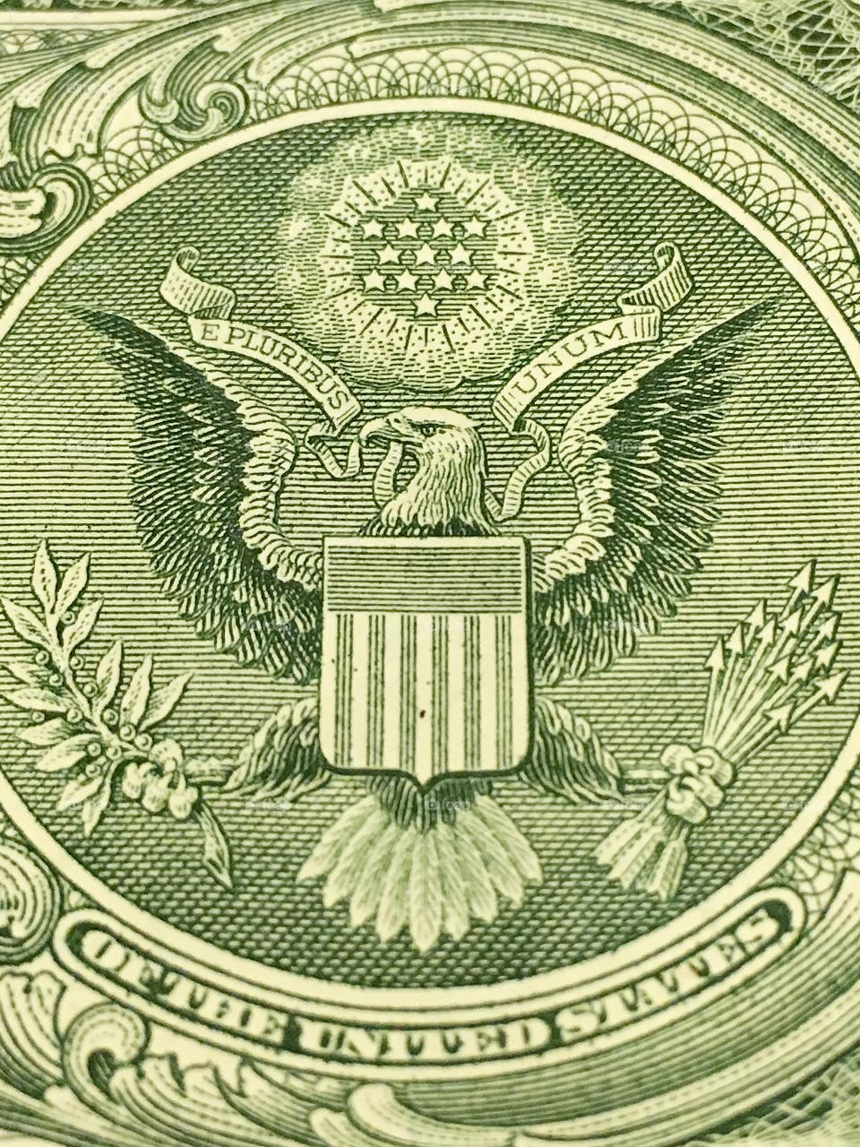 Macro photo of US dollar bill seal. 