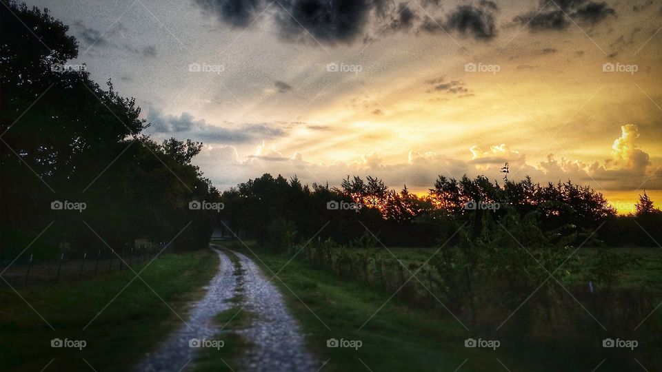 Sunrise down a country road in Texas