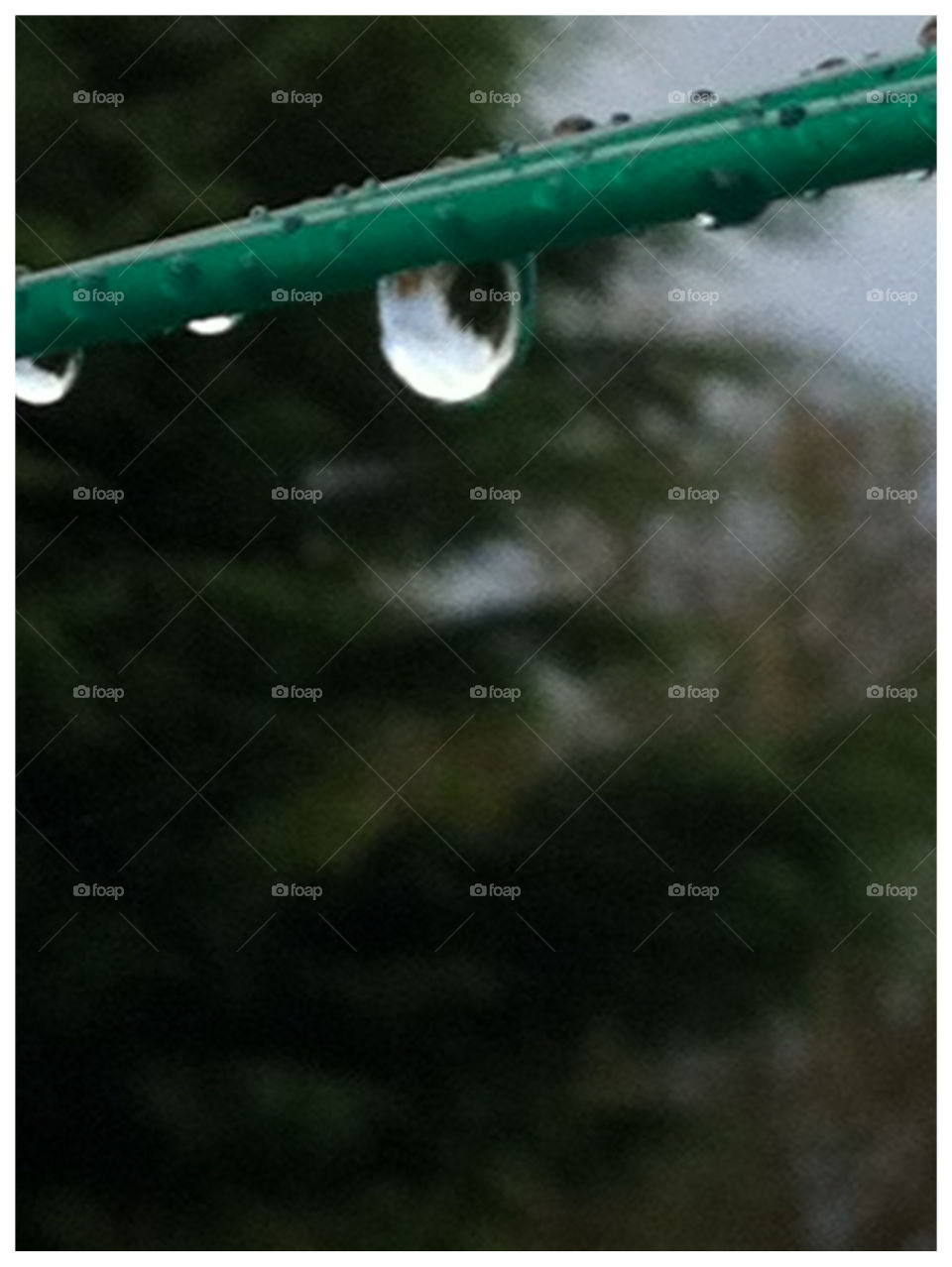 water rain drop raindrop by chezzi64