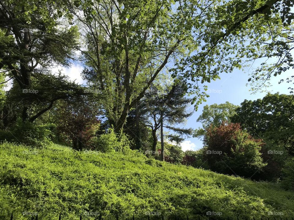 Green Paris