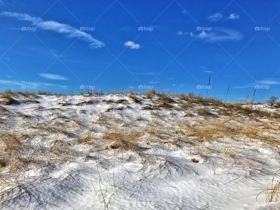 Frozen dunes...