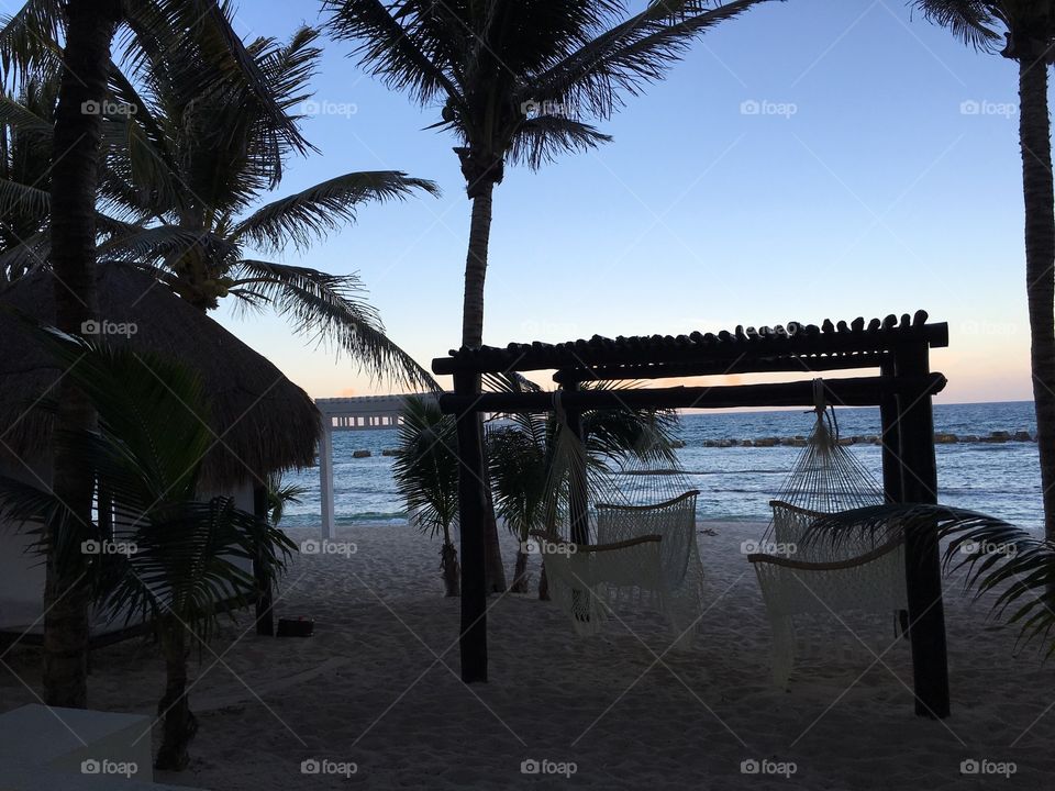 Beach, Palm, Ocean, Seashore, Water