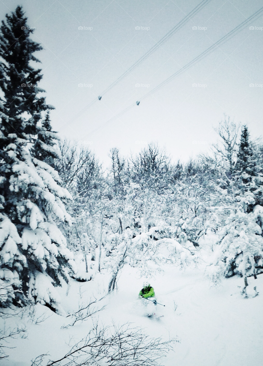 åre snow winter trees by hannessoderlund