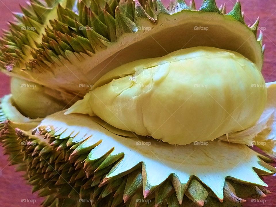 durian. seasonel fruit. spring fruit. Thailand
