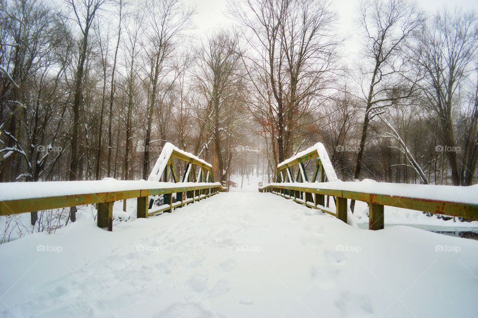 frozen bridge