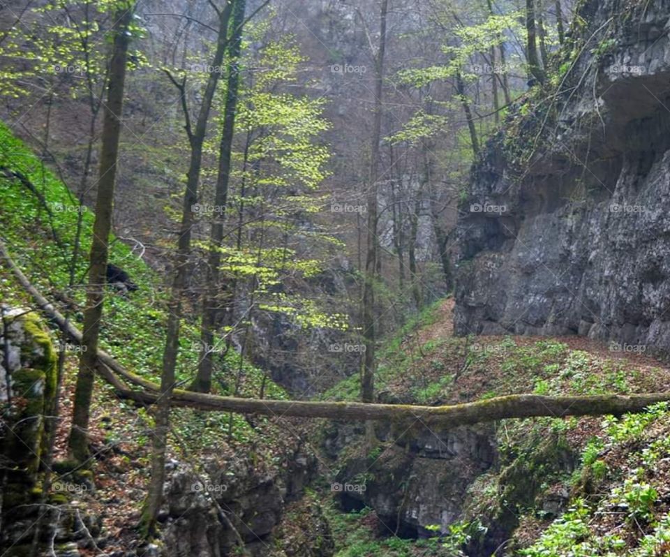 Skrad devill's passage