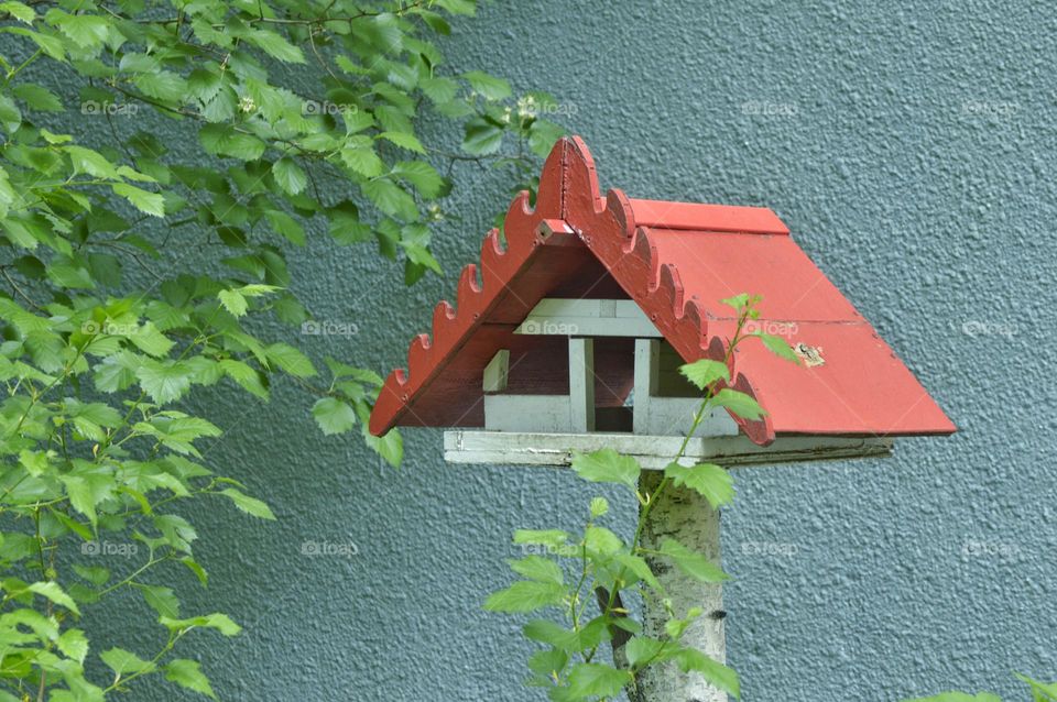bird house against the wall in the bushes