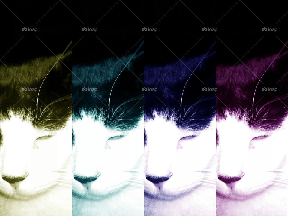 color of max. fooling with photo shop