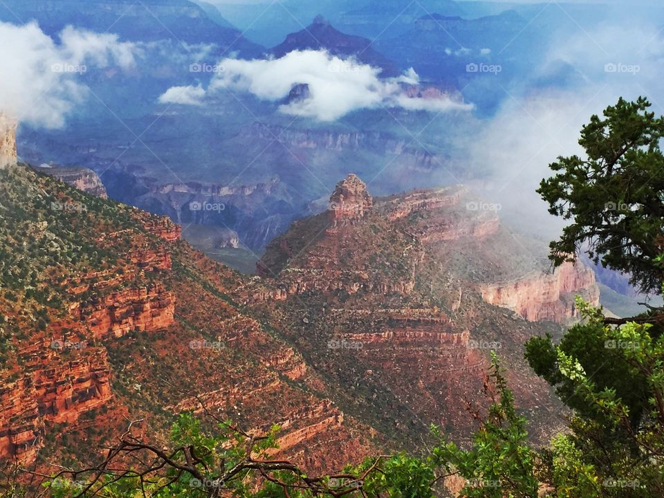 Fog over grand canyon