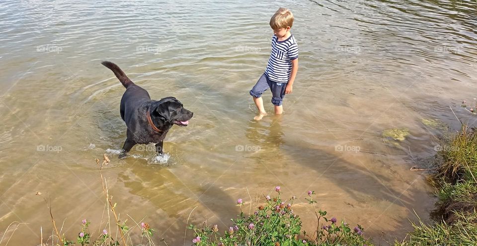 child and dog on a city lake, summer in the city