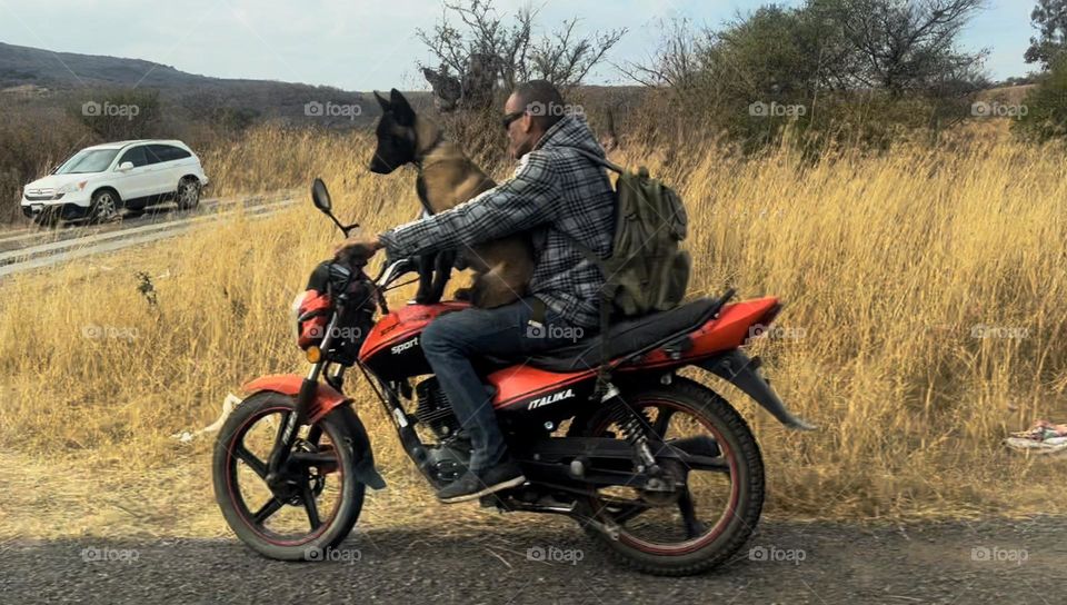 Dog lover in the cross 🐕