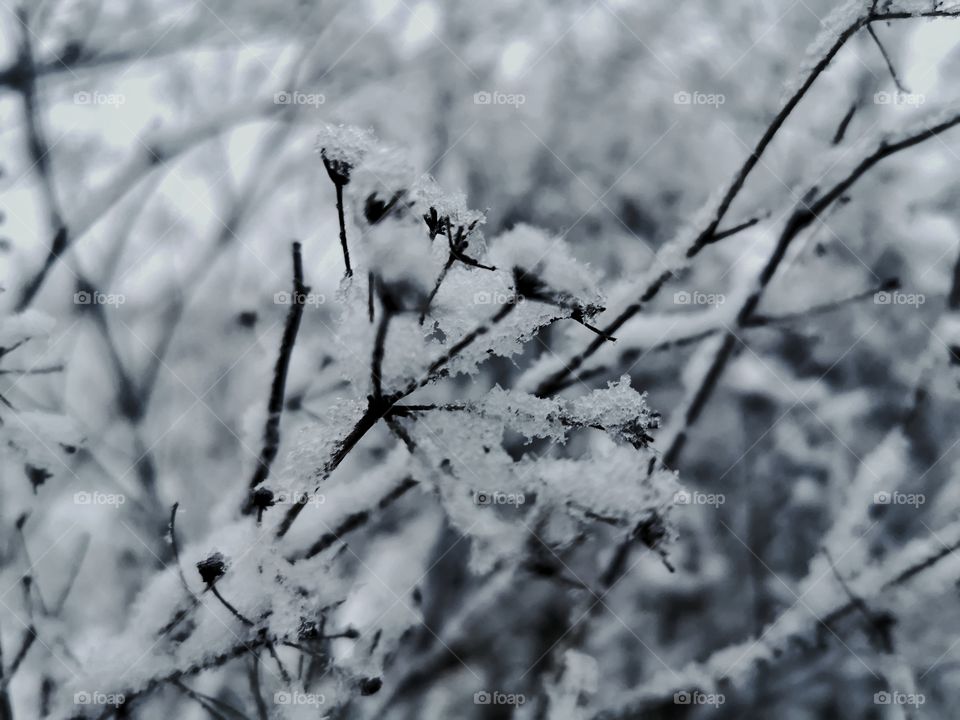 First snow came