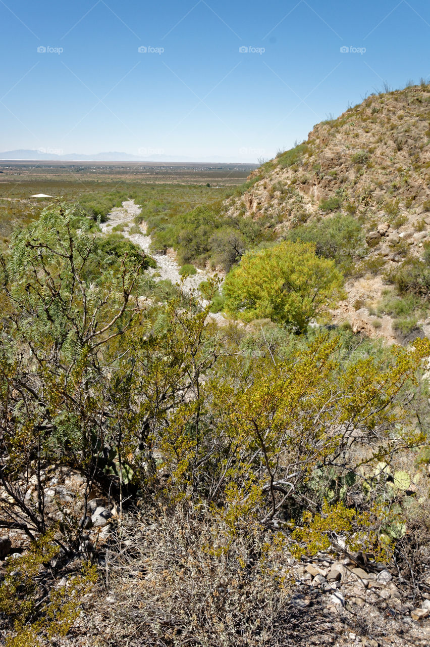 Landscape in New Mexico. View from Oliver Lee State Park of the valley below. 