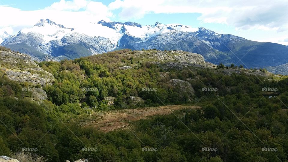 Scenic view of trees and mountains