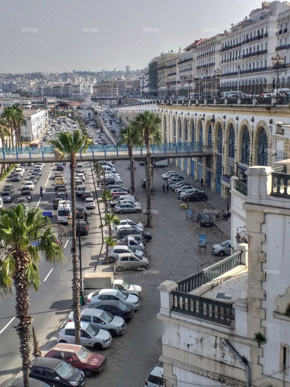 Alger the capital