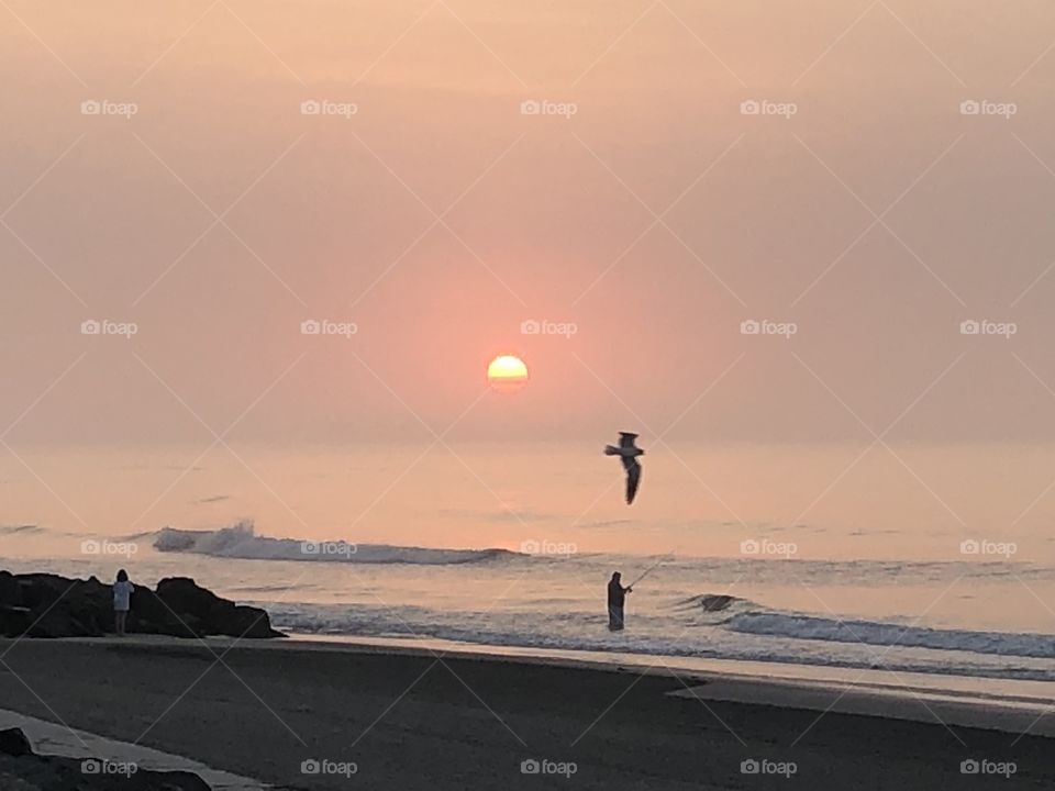 Seagull in flight at sunrise on beach