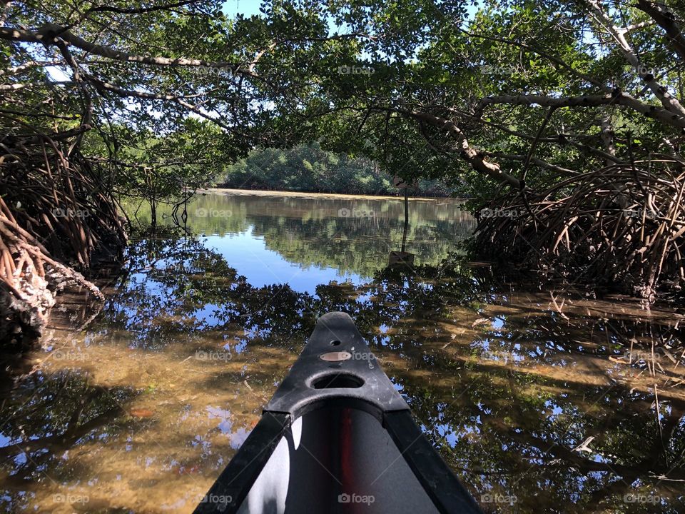 Kayaking