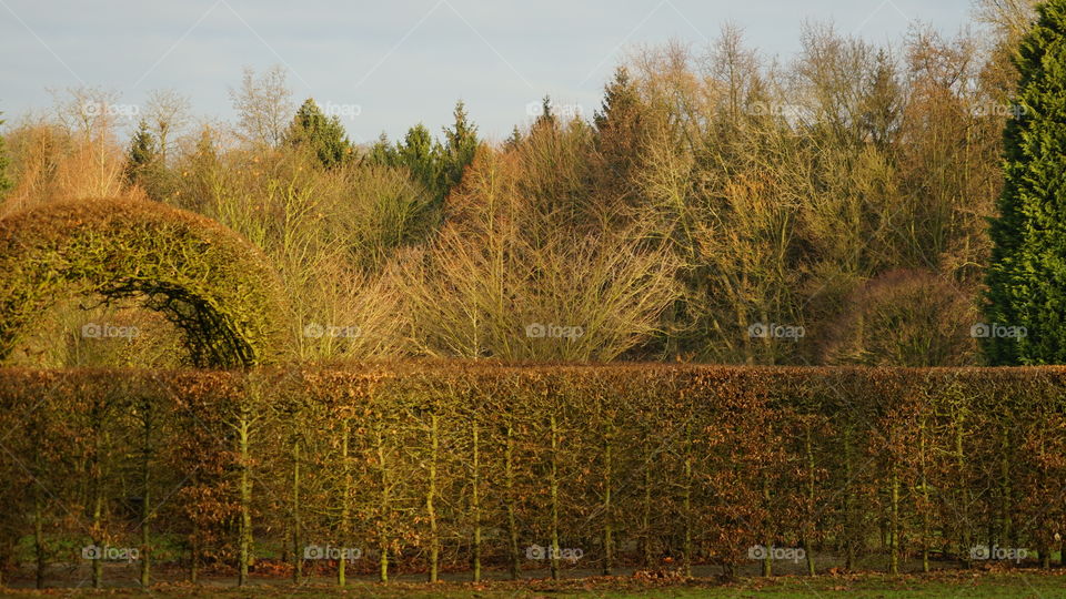 Autumn in Antwerp park