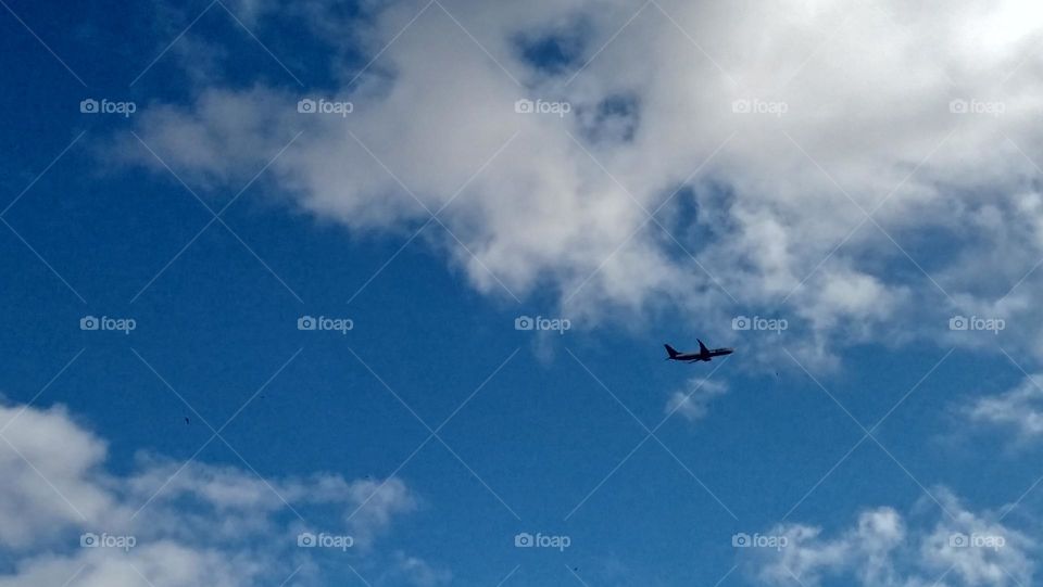 Airplane flying into blue and foggy sky.