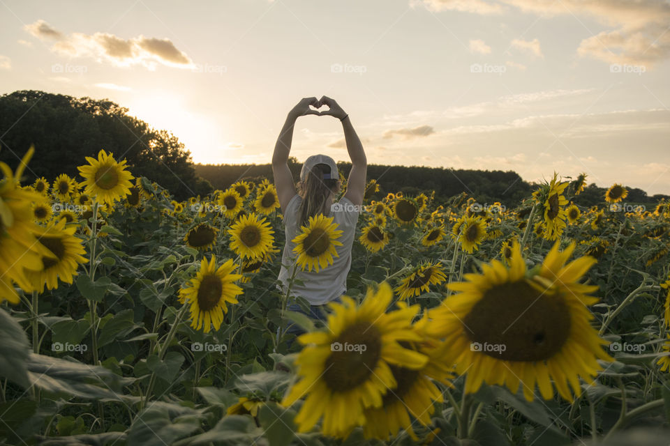 Girl in a Sunflower Field at Sunset