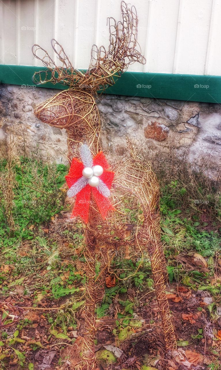 Reindeer With a Bow