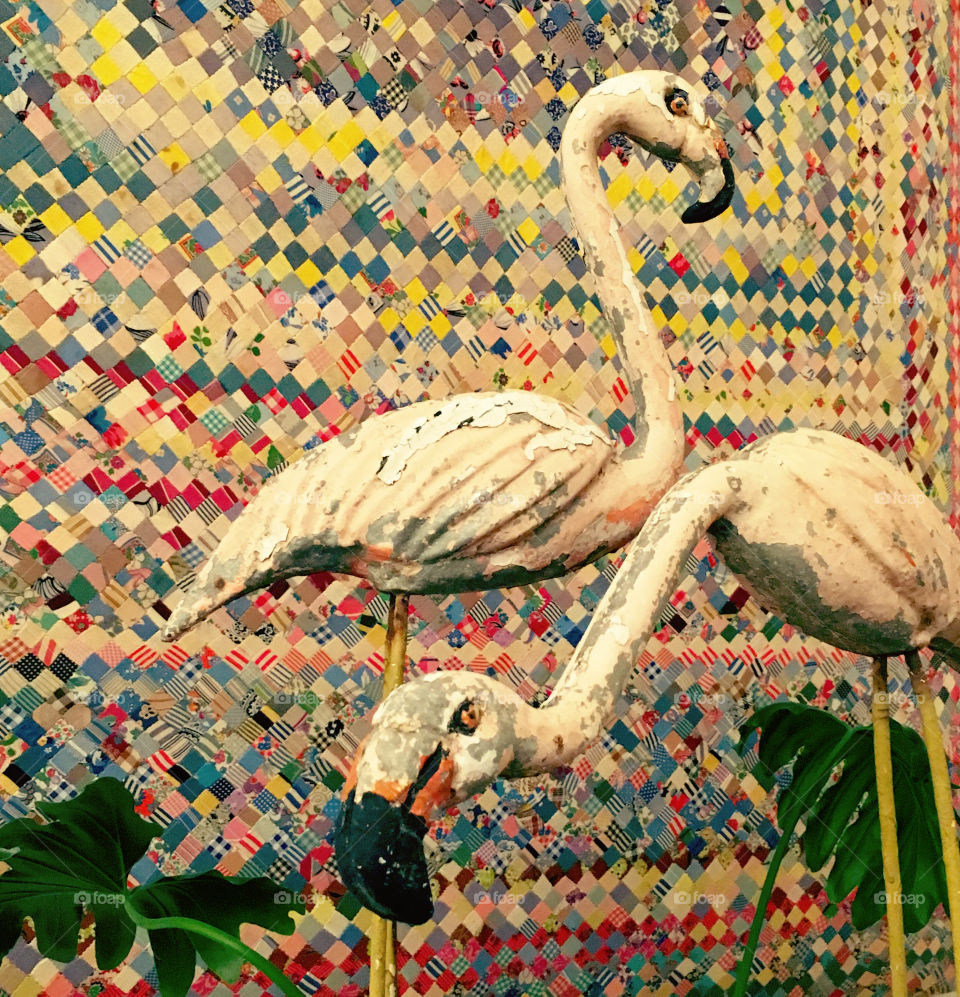 Vintage flamingos