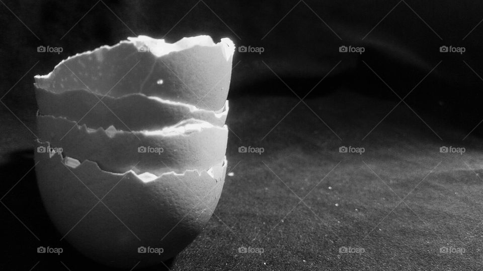 black and white egg shell