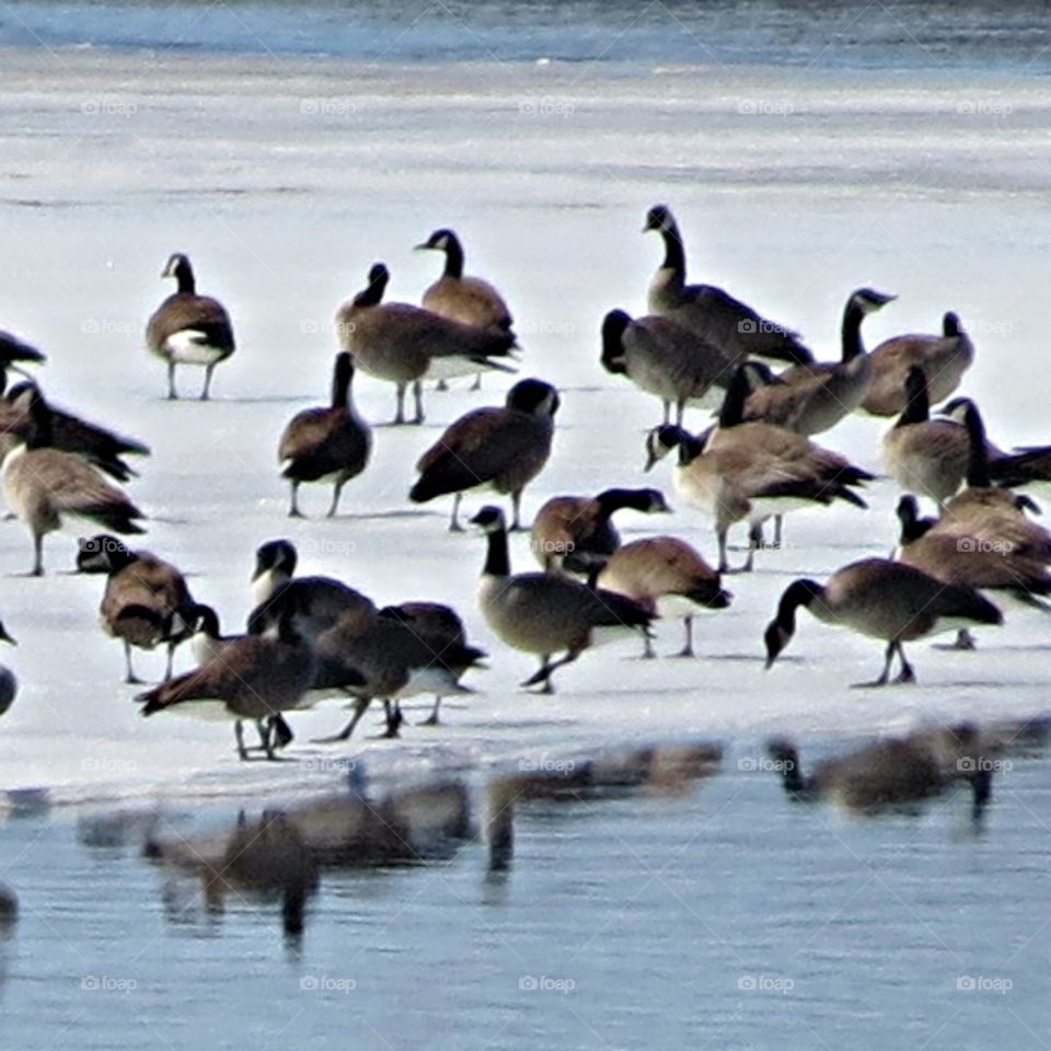 Birds of a feather...