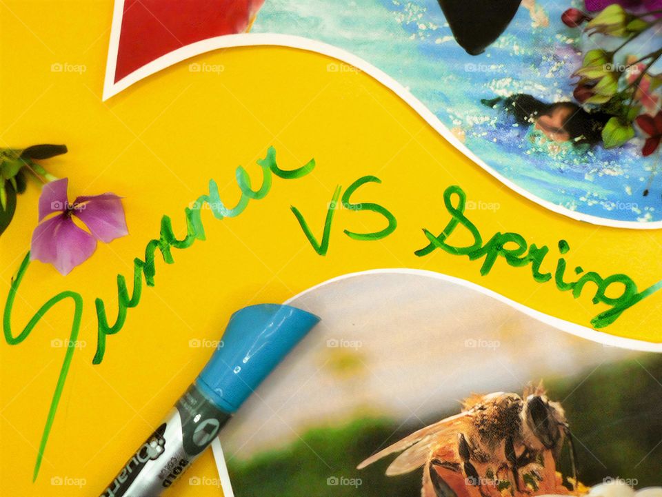 Summer VS Spring writings in cursive with blue dry erase marker with garden flowers on this display with printed photos of spring and summer cut on paper with bee and flowers and pool, young swimmer and pink flamingo floaty with yellow background.