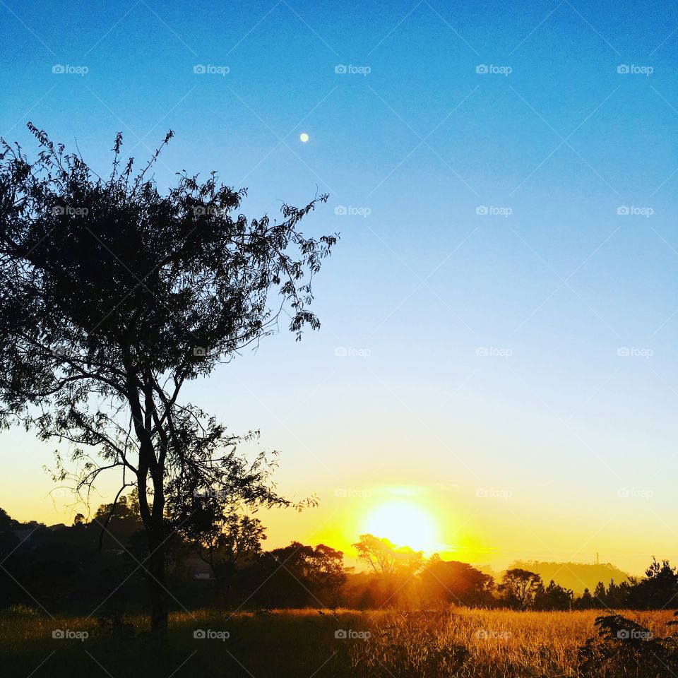 🌅Desperte, Jundiaí!
Ótima 5a feira a todos.
🍃
#sol #sun #sky #céu #photo #nature #morning #alvorada #natureza #horizonte #fotografia #pictureoftheday #paisagem #inspiração #amanhecer #mobgraphy #mobgrafia #Jundiaí #AmoJundiaí 