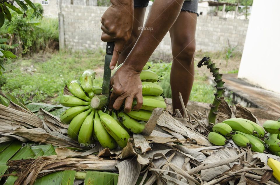 Cutting Banana