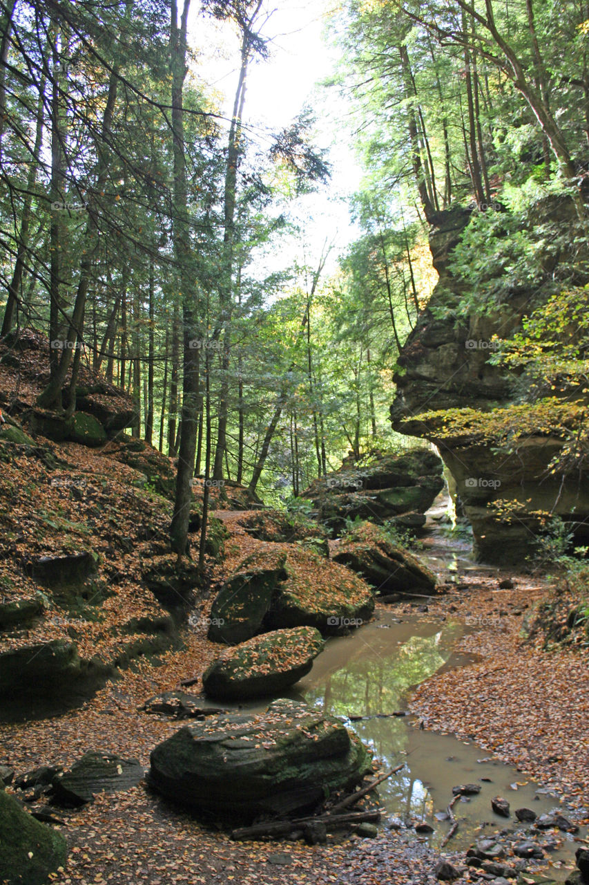 Fall leaves over the rocks