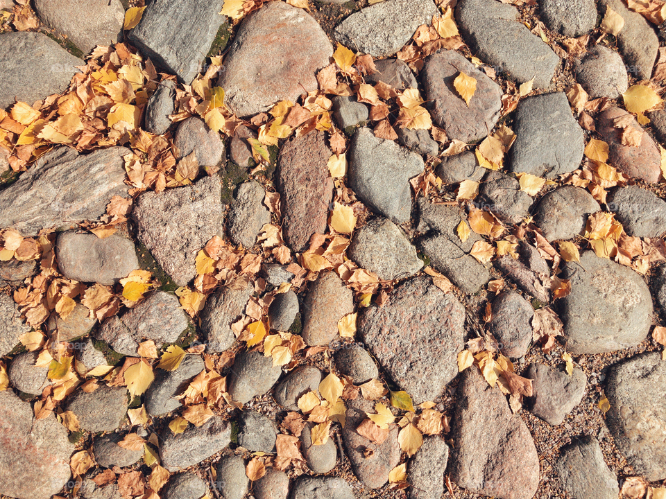 Камни, осенние листья, клип-арт
