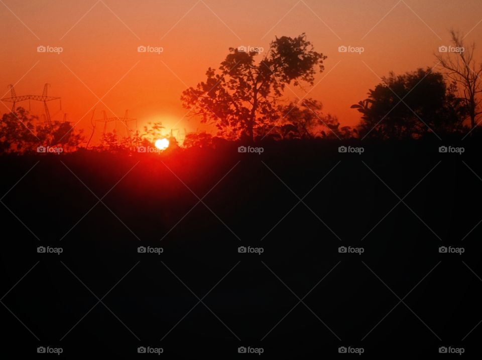 Beautiful sunset. Trees.