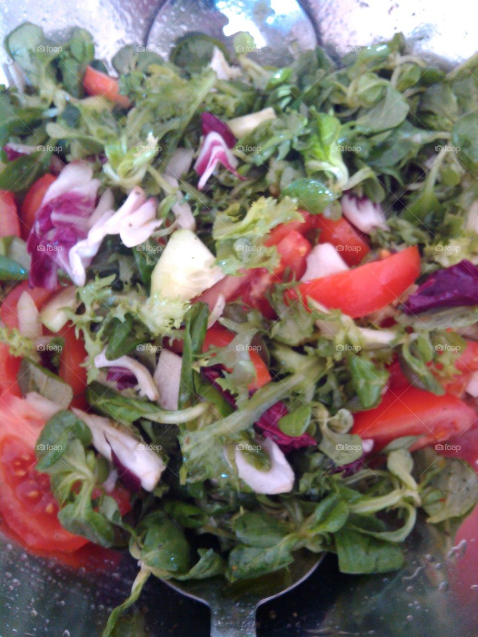 tomato lettuce salad