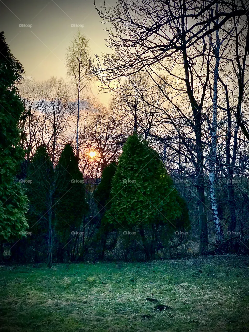 Sunset