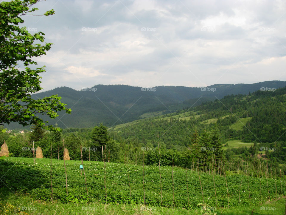 Countryside in Ukraine in Spring