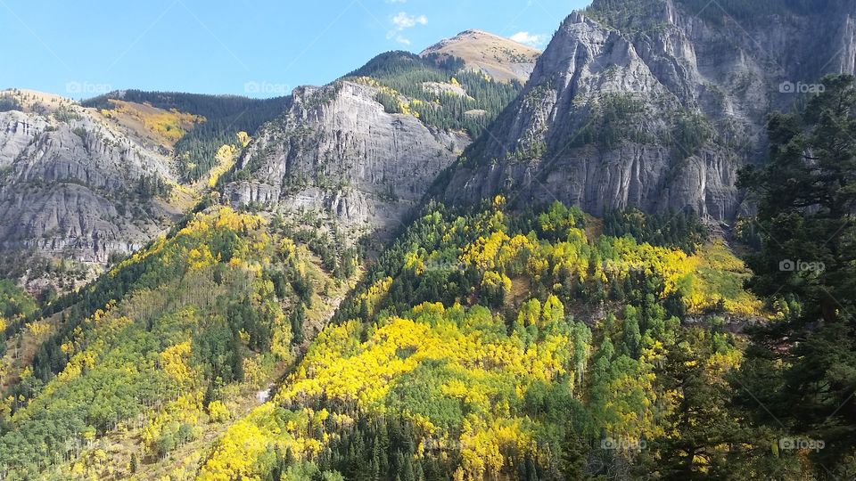 Mountain, Landscape, Wood, Nature, Scenic