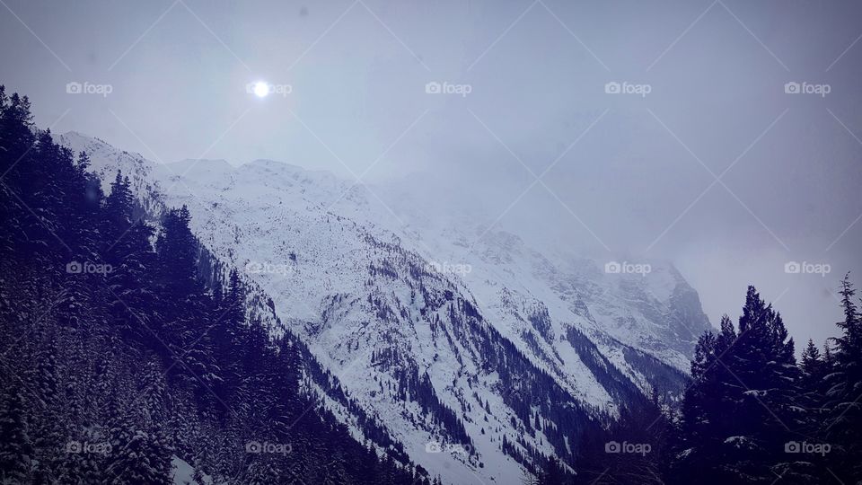 Misty Thoughts.
Foggy Hearts.