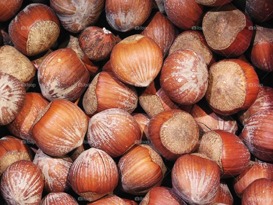 hazelnuts